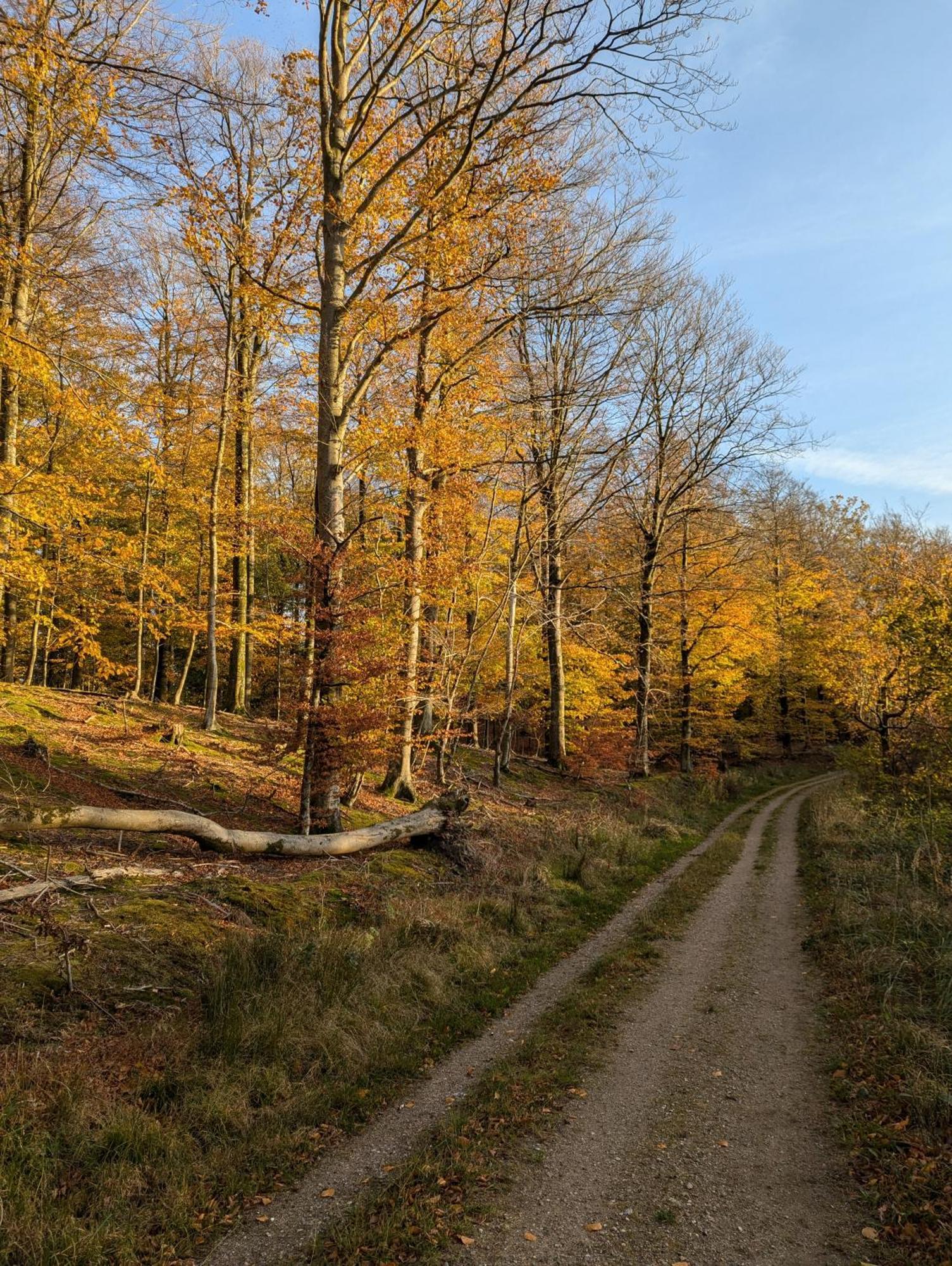 Lejlighed Ved Skov Græsted Exterior foto